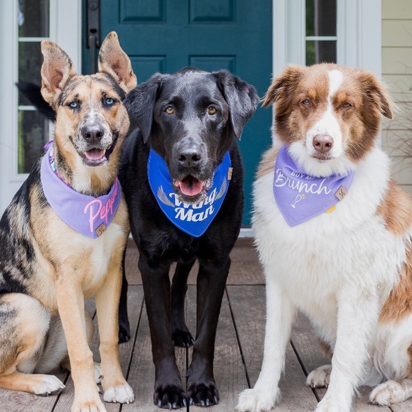 Meet your Posher, Barri - Picture 3 of 3